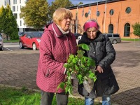 Rohevahetus Pärnu kolledži juures. Foto: Urmas Saard / Külauudised