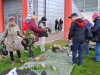 Rohevahetus Pärnu kolledži juures. Foto: Urmas Saard / Külauudised