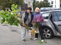 Rohevahetus Pärnu kolledži juures. Foto: Urmas Saard / Külauudised