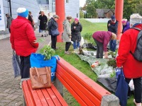 Rohevahetus Pärnu kolledži juures. Foto: Urmas Saard / Külauudised