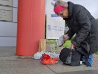 Rohevahetus Pärnu kolledži juures. Foto: Urmas Saard / Külauudised