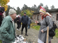 Seljametsa viies sügislaat. Foto: Urmas Saard / Külauudised