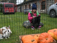Seljametsa viies sügislaat. Foto: Urmas Saard / Külauudised