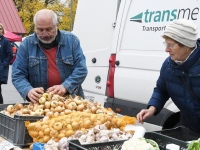 Seljametsa viies sügislaat. Foto: Urmas Saard / Külauudised
