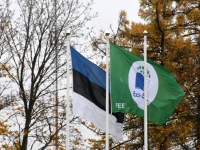 Seljametsa viies sügislaat. Foto: Urmas Saard / Külauudised