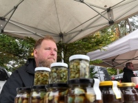 Seljametsa viies sügislaat. Foto: Urmas Saard / Külauudised