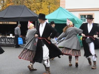 Seljametsa viies sügislaat. Foto: Urmas Saard / Külauudised
