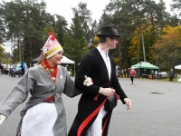 Seljametsa viies sügislaat. Foto: Urmas Saard / Külauudised