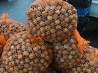 Seljametsa viies sügislaat. Foto: Urmas Saard / Külauudised