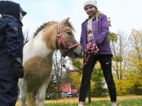 Seljametsa viies sügislaat. Foto: Urmas Saard / Külauudised