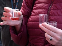 Seljametsa viies sügislaat. Foto: Urmas Saard / Külauudised