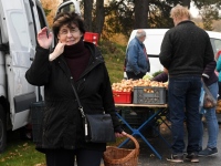 Seljametsa viies sügislaat. Foto: Urmas Saard / Külauudised