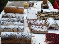 Seljametsa viies sügislaat. Foto: Urmas Saard / Külauudised