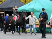 Seljametsa viies sügislaat. Foto: Urmas Saard / Külauudised