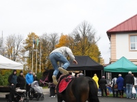 Seljametsa viies sügislaat. Foto: Urmas Saard / Külauudised