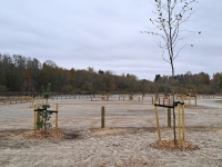Sindi kärestiku juurde rajatud roheala. Foto: Urmas Saard / Külauudised