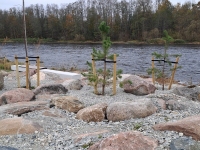Sindi kärestiku juurde rajatud roheala. Foto: Urmas Saard / Külauudised