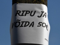 110 Sindi kuuendal laadal. Foto: Urmas Saard / Külauudised