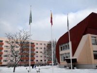 Sindi lasteaed Eesti Vabariigi 105. aastapäeva tähistamas. Foto: Urmas Saard / Külauudised