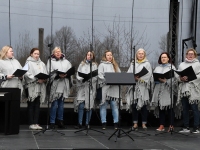 Sindi linna 84. sünnipäeva laat. Foto: Urmas Saard / Külauudised