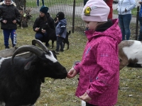 Sindi linna 84. sünnipäeva laat. Foto: Urmas Saard / Külauudised