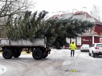 022 Sindi sotsiaalkeskuse ette toodi jõulupuu. Foto: Urmas Saard