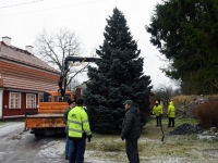 029 Sindi sotsiaalkeskuse ette toodi jõulupuu. Foto: Urmas Saard