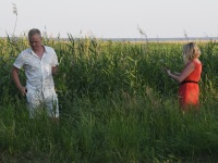 Suvine pööripäev Raekülas. Foto: Urmas Saard / Külauudised