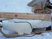 Kehakinnituseks kartulisort „Jõgeva kollane”. Foto: Marge Tasur