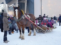 Saanisõit külmalinnas. Foto: Marge Tasur