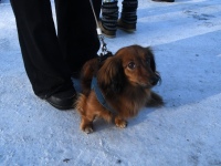 Talvisel energiliste elamuste perepä Sindi ujulas. Foto: Urmas Saard / Külauudised