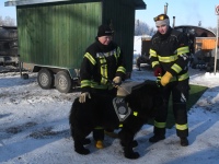 Talvisel energiliste elamuste perepä Sindi ujulas. Foto: Urmas Saard / Külauudised
