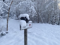 Tänane talvemeeleolu Saku vallas. Foto: Kadi Arnik