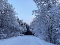 Tänane talvemeeleolu Saku vallas. Foto: Kadi Arnik