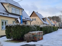 Tartu rahu 103. aastapäeva tähistamine Sindis. Foto: Urmas Saard / Külauudised