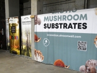 Tõrvas Shroomwell’i seentekasvatuses. Foto: Urmas Saard / Külauudised 