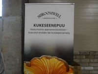Tõrvas Shroomwell’i seentekasvatuses. Foto: Urmas Saard / Külauudised 