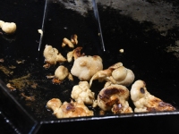 Tõrvas Shroomwell’i seentekasvatuses. Foto: Urmas Saard / Külauudised 
