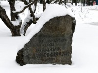 Mälestuskivi akadeemik  Ferdinand Johann Wiedemannil meenutamiseks tema nimelisel tänaval Türi linnas.  Foto: Urmas Saard / Külauudised