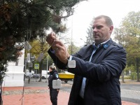 Üheksandat aastat Pärnu Lastepargis helkureid riputamas. Foto: Urmas Saard / Külauudised