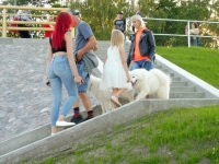 Uu Tori silla avamise õhtul. Foto: Kärt Saard / Külauudised