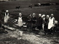 Plonni tegijad. Foto erakogust