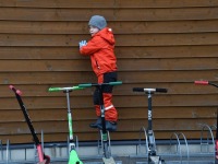 018 Vanapaberikampaanias osalejate tänamine. Foto Urmas Saard Külauudised