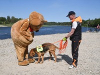 Veeohutuse perepäeval Sindi kärestikul. Foto: Urmas Saard / Külauudised