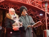 VII Pärnu Jõuluturu avamine. Foto: Urmas Saard / Külauudised