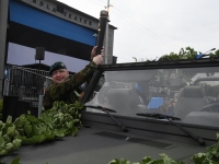 Võidupüha tähistamine Pärnu Keskväljakul ja Vaasa pargis. Foto: Urmas Saard / Külauudised