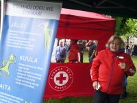 Võidupüha tähistamine Pärnu Keskväljakul ja Vaasa pargis. Foto: Urmas Saard / Külauudised