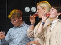 XXX Viljandi pärimusmuusika festivali avakontsert Kaevumäel. Foto: Urmas Saard / Külauudised
