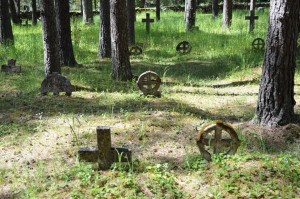 Kalmistu rõngasristidega