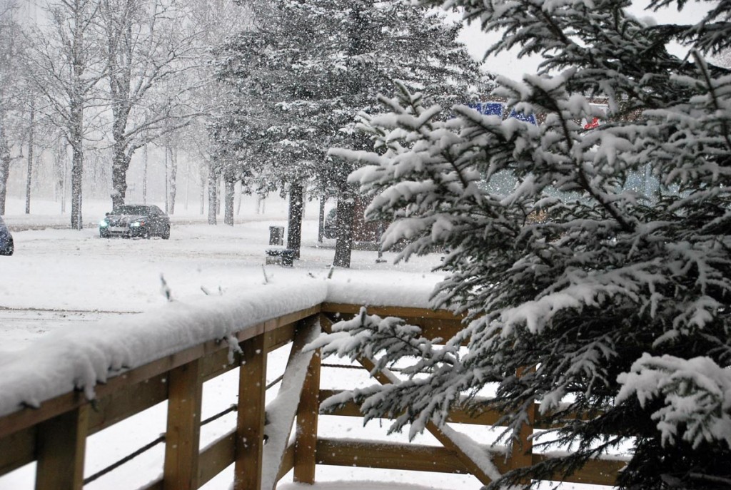 Keskpäevane lumesadu Sindi linnas 2014 aasta 27 detsembril Foto Urmas Saard